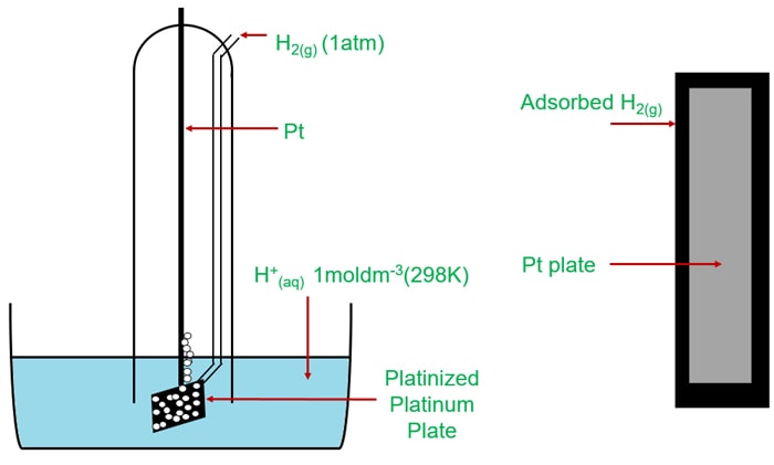 standard hydrogen electrode